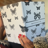 Butterfly Dreams Hardcover Notebook