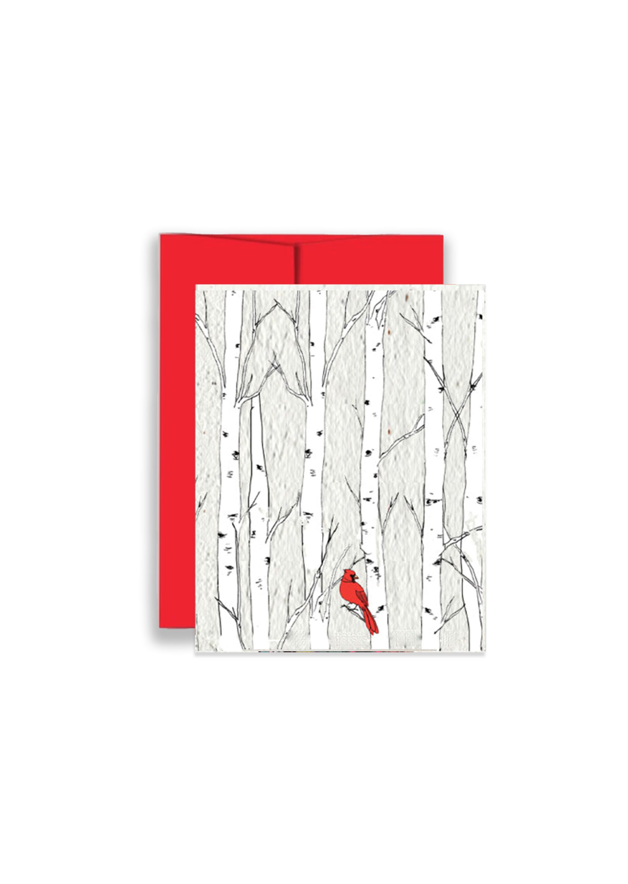 Christmas Cardinal Wildflower Seed Paper Card