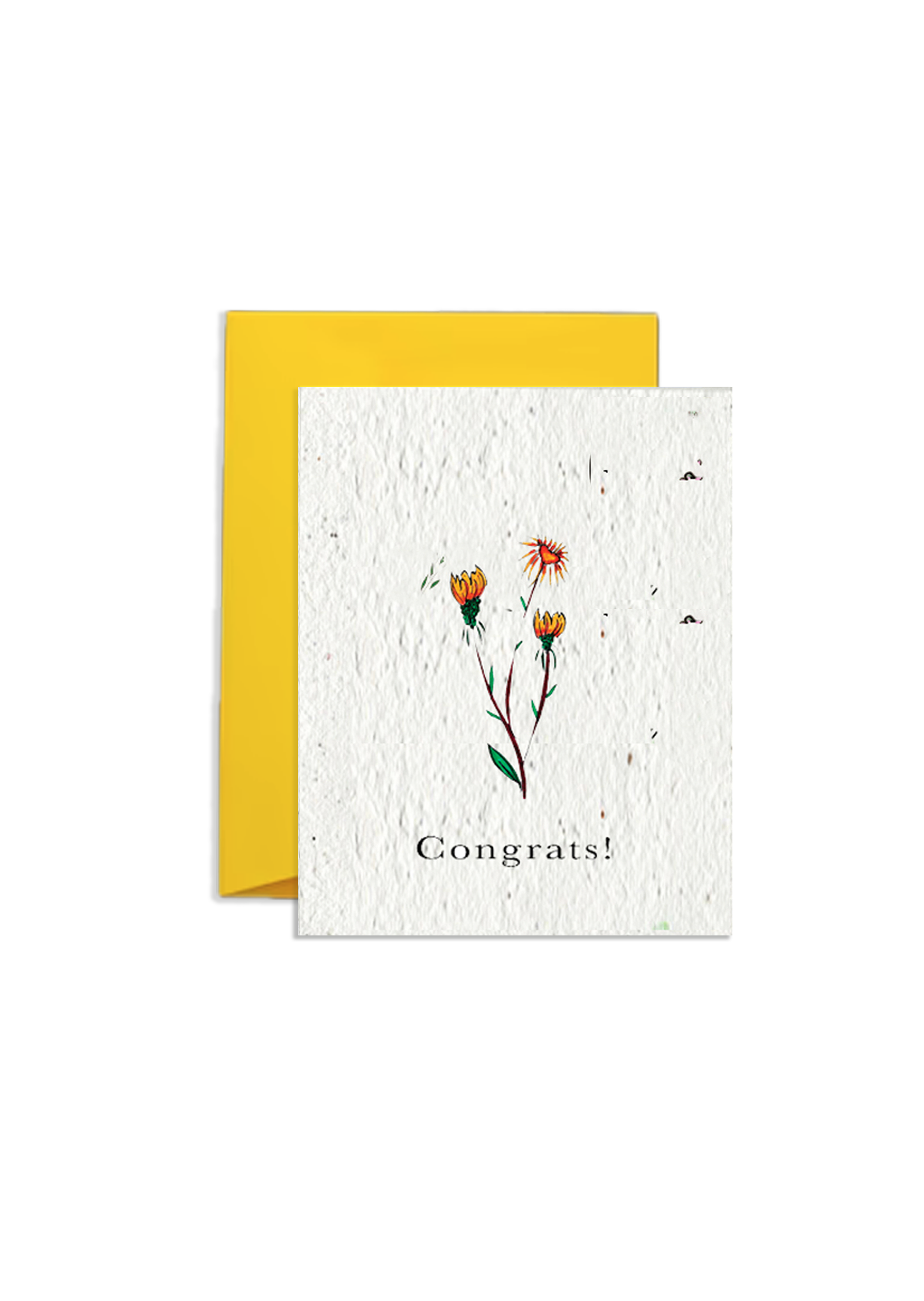 Congrats! Wildflower Seed Paper Card