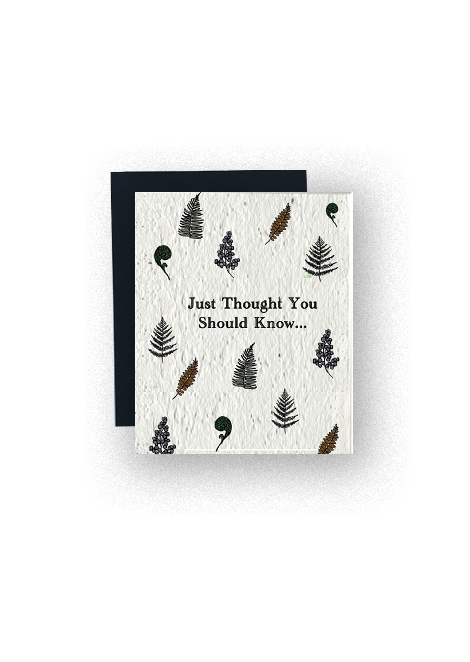 "Just Thought You Should Know" Wildflower Seed Paper Card