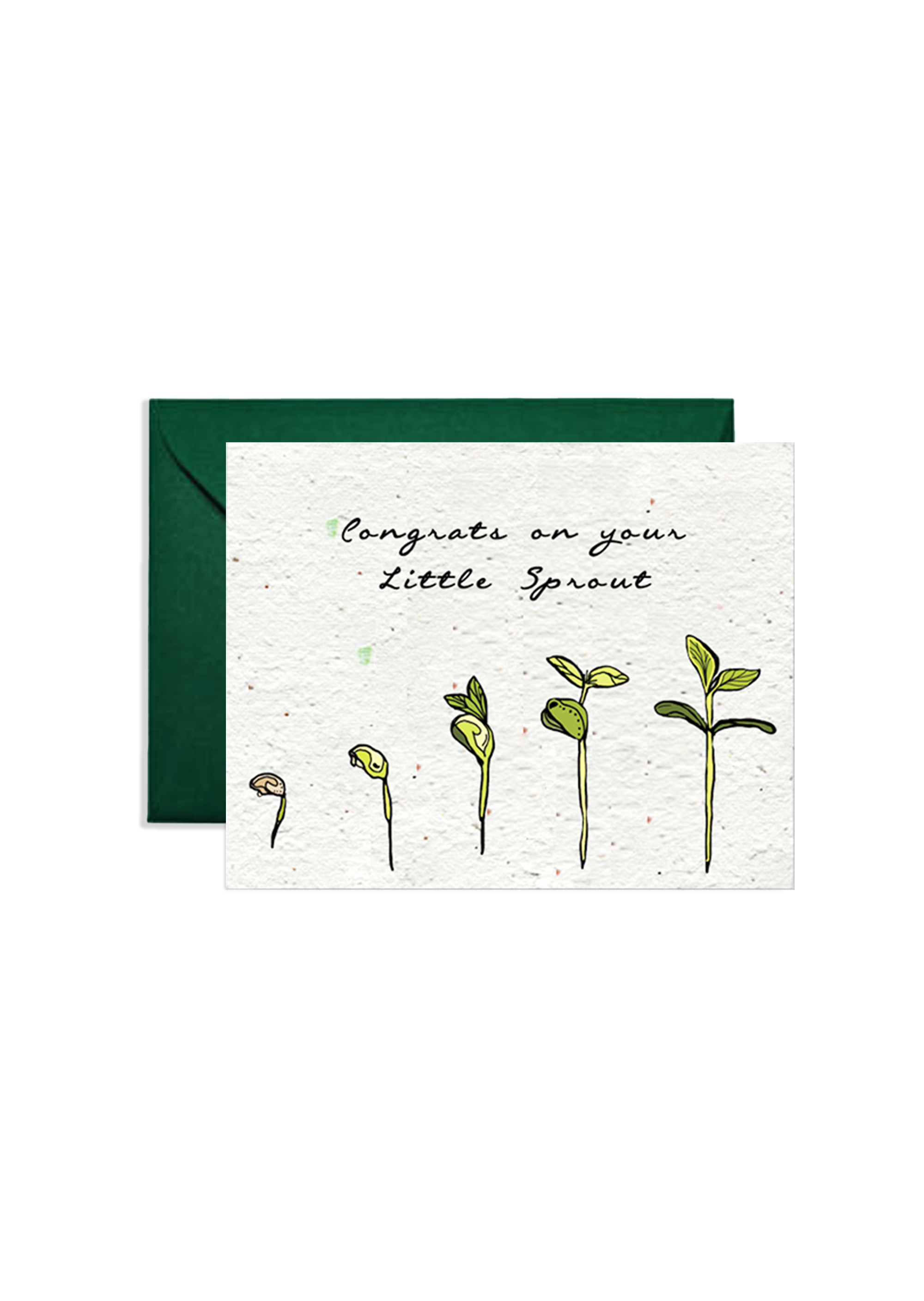 Sprouting Joy: Baby Wildflower Seed Paper Card