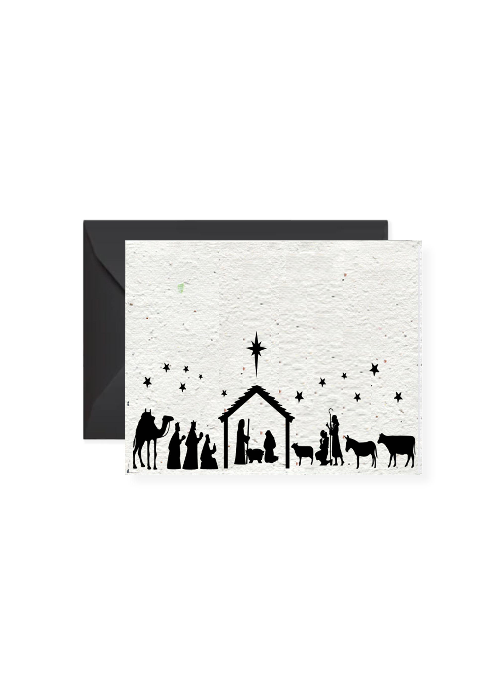 Nativity Christmas Wildflower Seed Paper Greeting Card