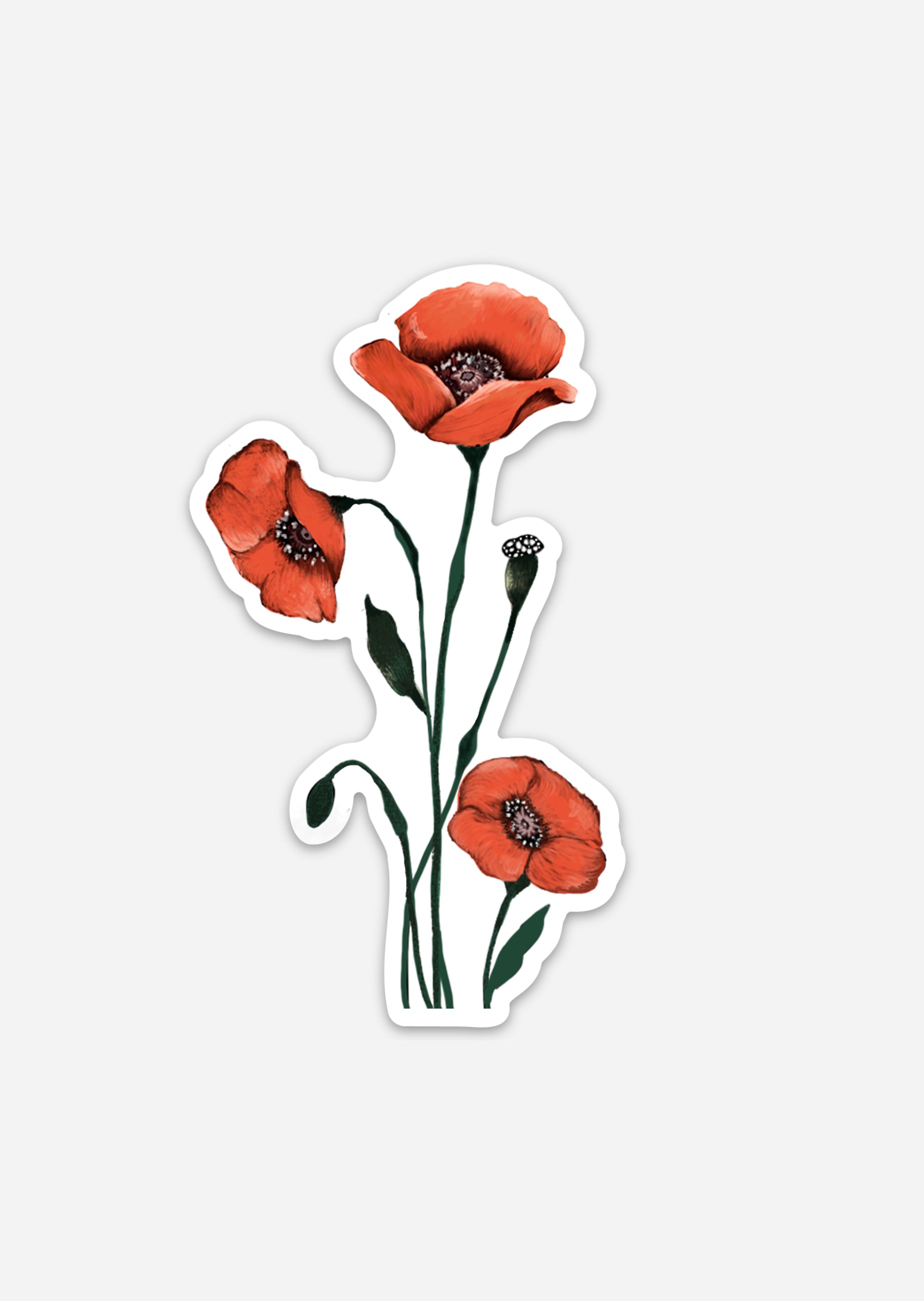 Blooming Artistry Poppy Sticker