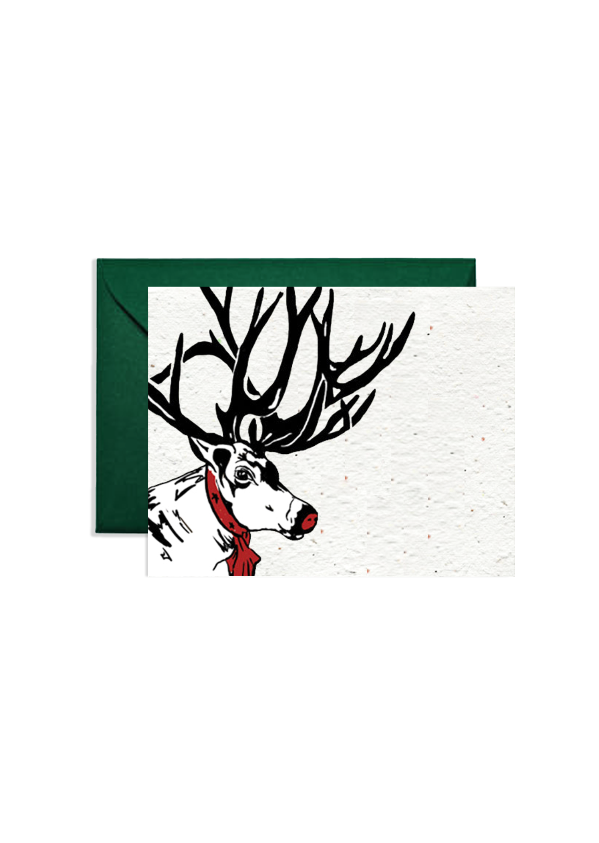 Holiday Reindeer Wildflower Seed Paper Greeting Card