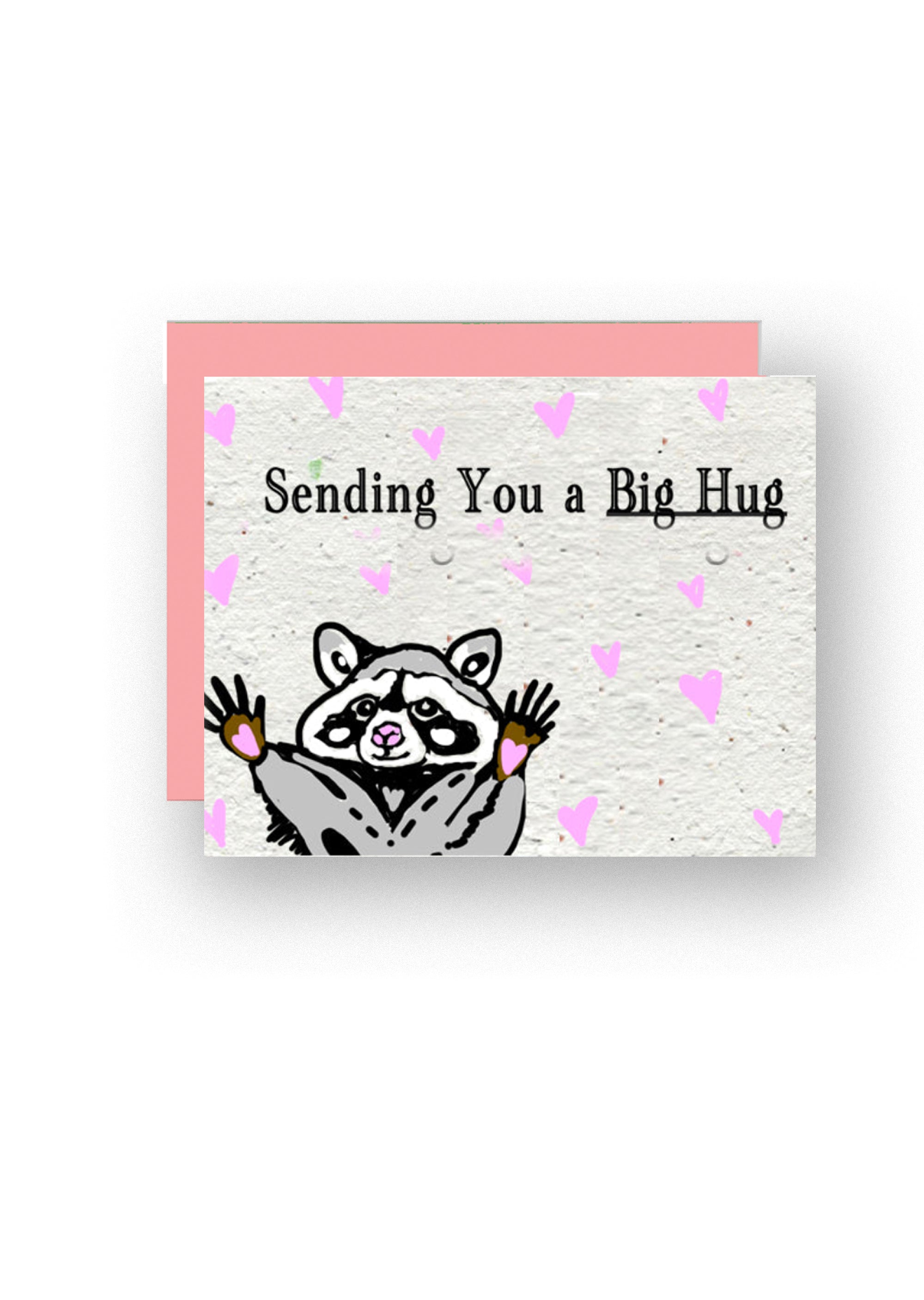Sending You a Big Hug Wildflower Seed Paper Greeting Card